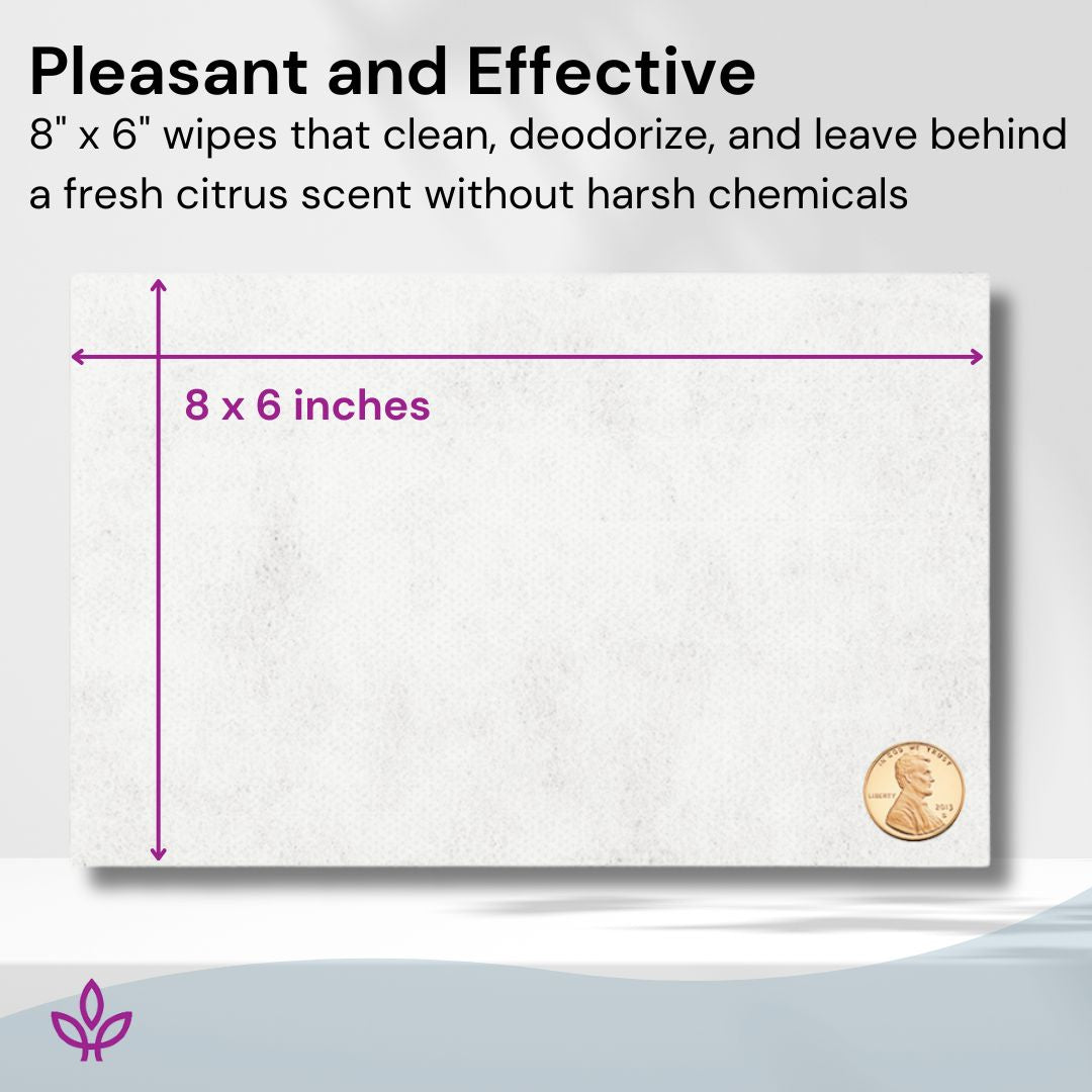 YMCA - 4 x 950 count (Total 3,800 Count) Gym Wipes Premium Size and Moisture